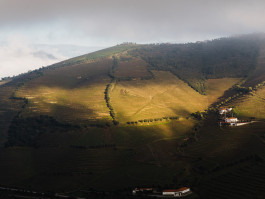 LUÍS MOREIRA